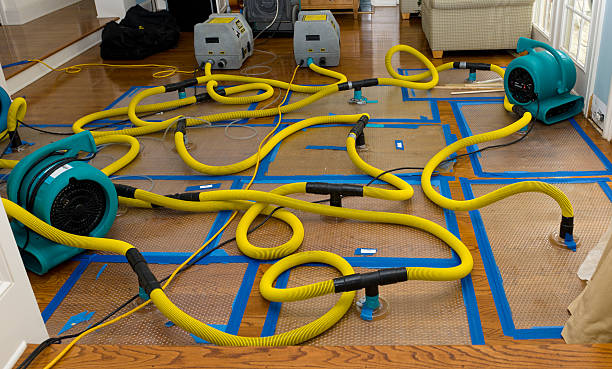Professional Water Damage Restoration technician working in Marion, KY